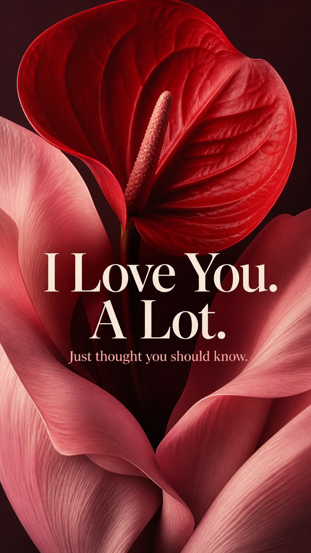 I Love You. A Lot. — Just thought you should know.
